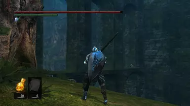 Silver dragon shield