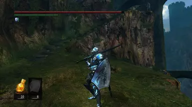 Silver dragon shield