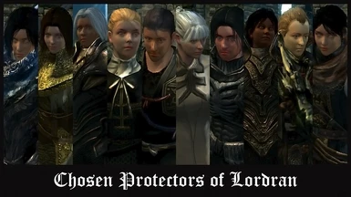 Chosen Protectors of Lordran
