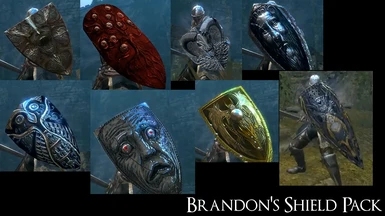 Brandon's Shield Pack