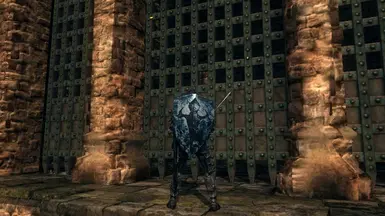 dark souls hollow soldier shield