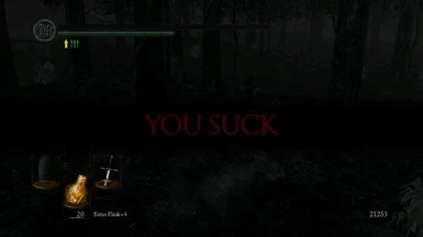 YOU SUCK (Dark Souls You Died texture)