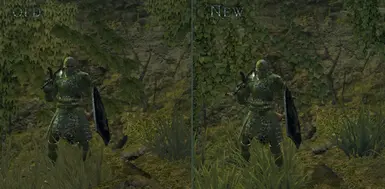 ivy and grass comparison