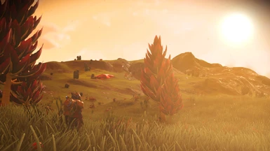 Lush Planet #2 - tall grass 