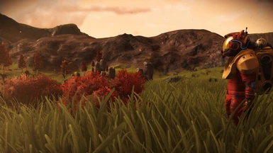 Lush Planet #2 - more tall grass
