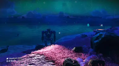 Ingame FOV 100