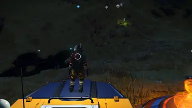 Ingame FOV 80