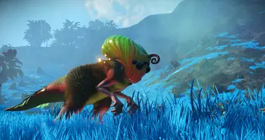 Creatures I've met, because why not :)