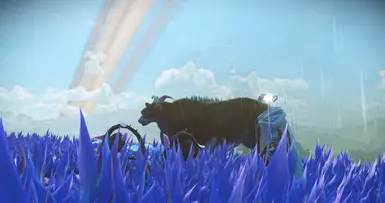 Creatures I've met, because why not :)