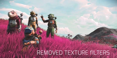 Removed Texture filters FPS Boost NEXT