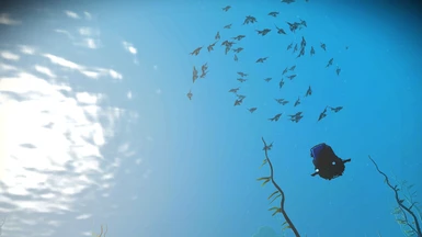 Increased Swarm Sizes: Underwater