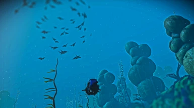 Increased Swarm Sizes: Underwater