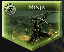 FE LH Ninja Path
