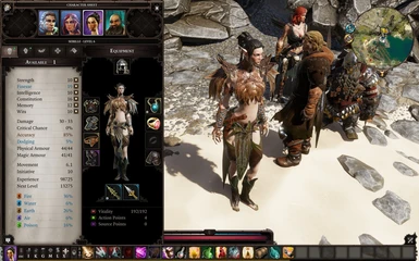 divinity 2 second skin