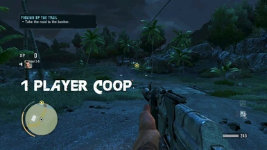 1 Player Coop Game Mode