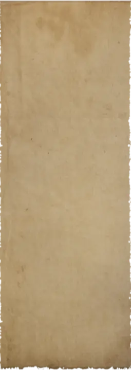 255x720