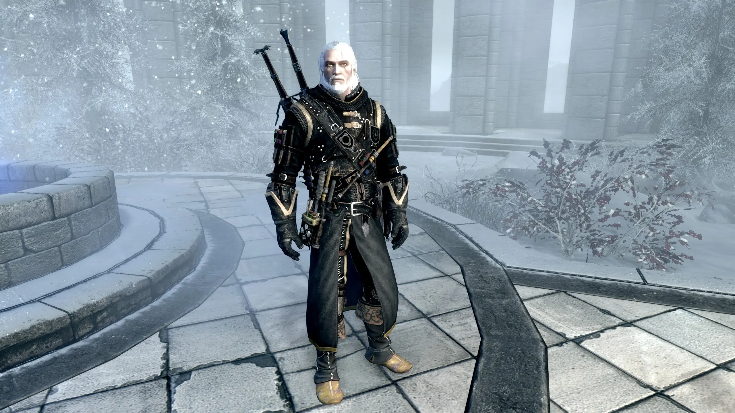 dark armor witcher 2