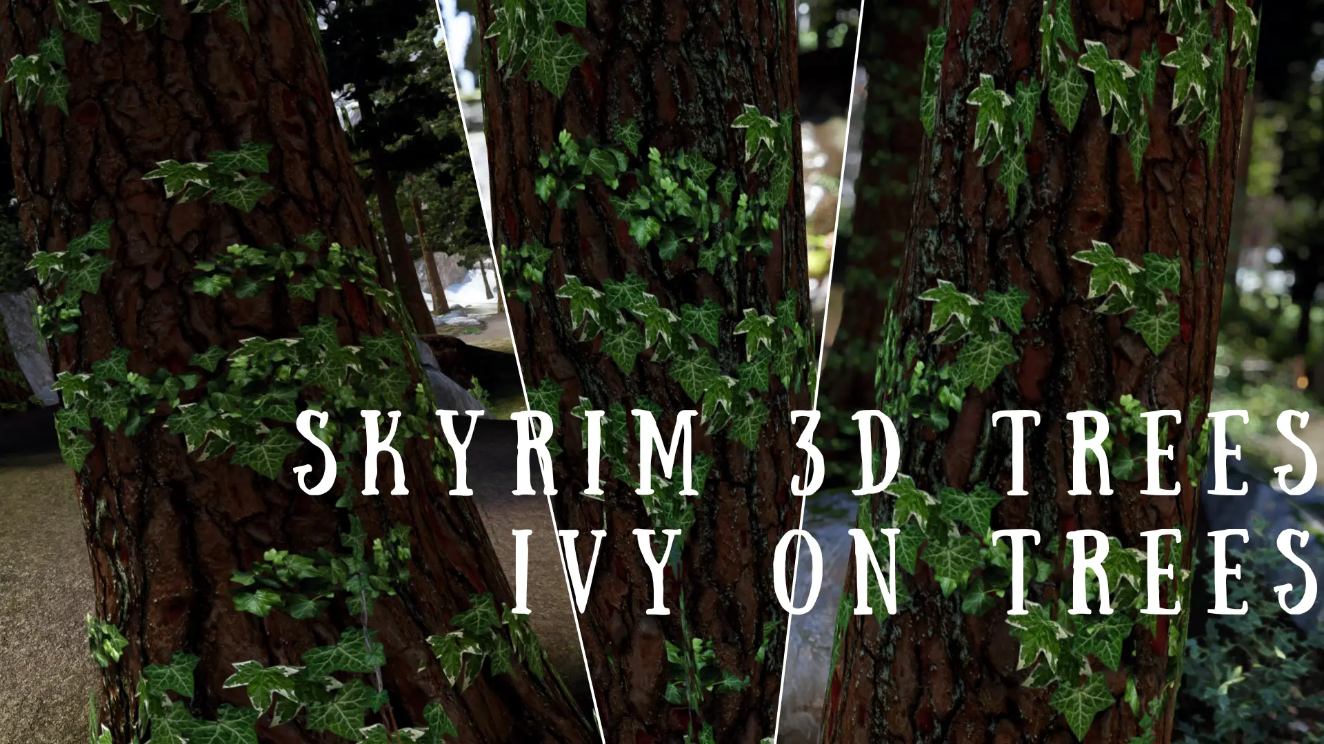 Skyrim 3D Trees - Ivy on Trees at Skyrim Special Edition Nexus - Mods ...