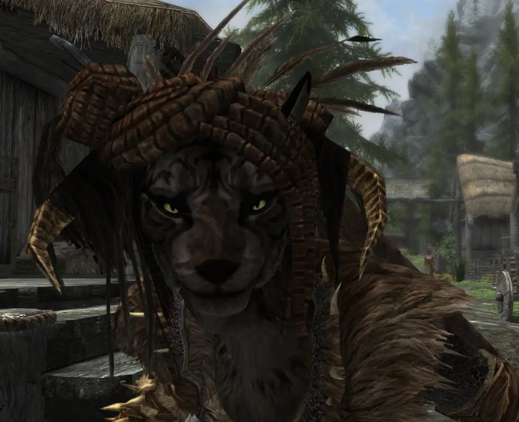 Forsworn Dreadlocks For Beast Races At Skyrim Special Edition Nexus