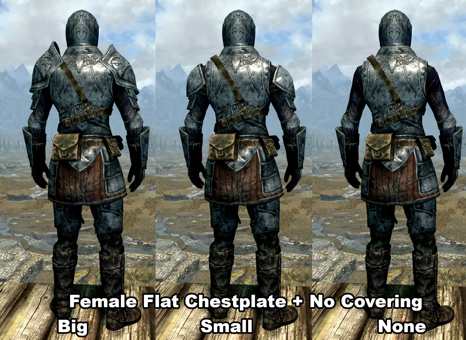 Symmetric Silver Armor Replacers At Skyrim Special Edition Nexus Mods   111545 1707831789 1481797474 