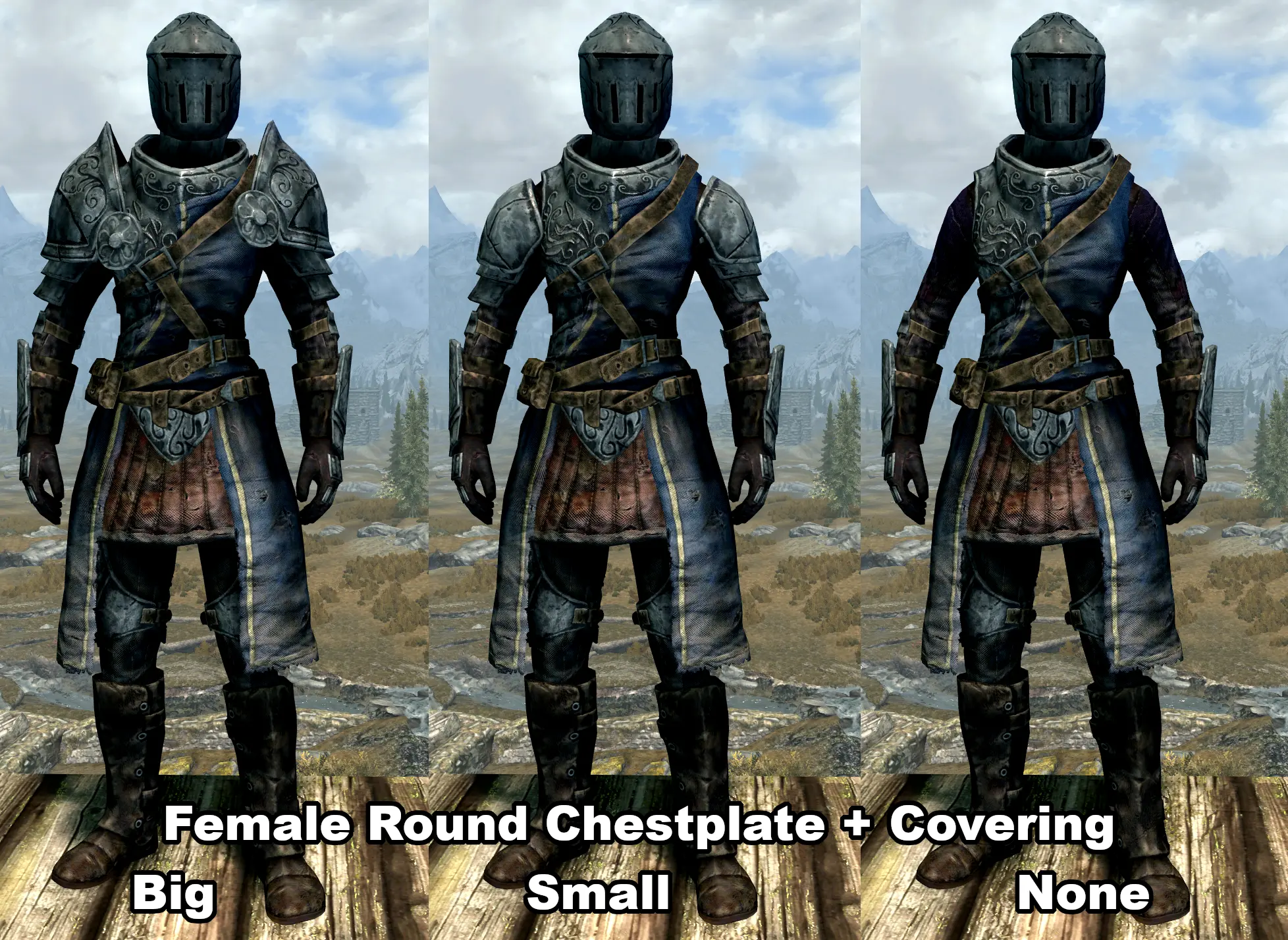 Symmetric Silver Armor Replacers At Skyrim Special Edition Nexus Mods   111545 1707831800 2067170233 