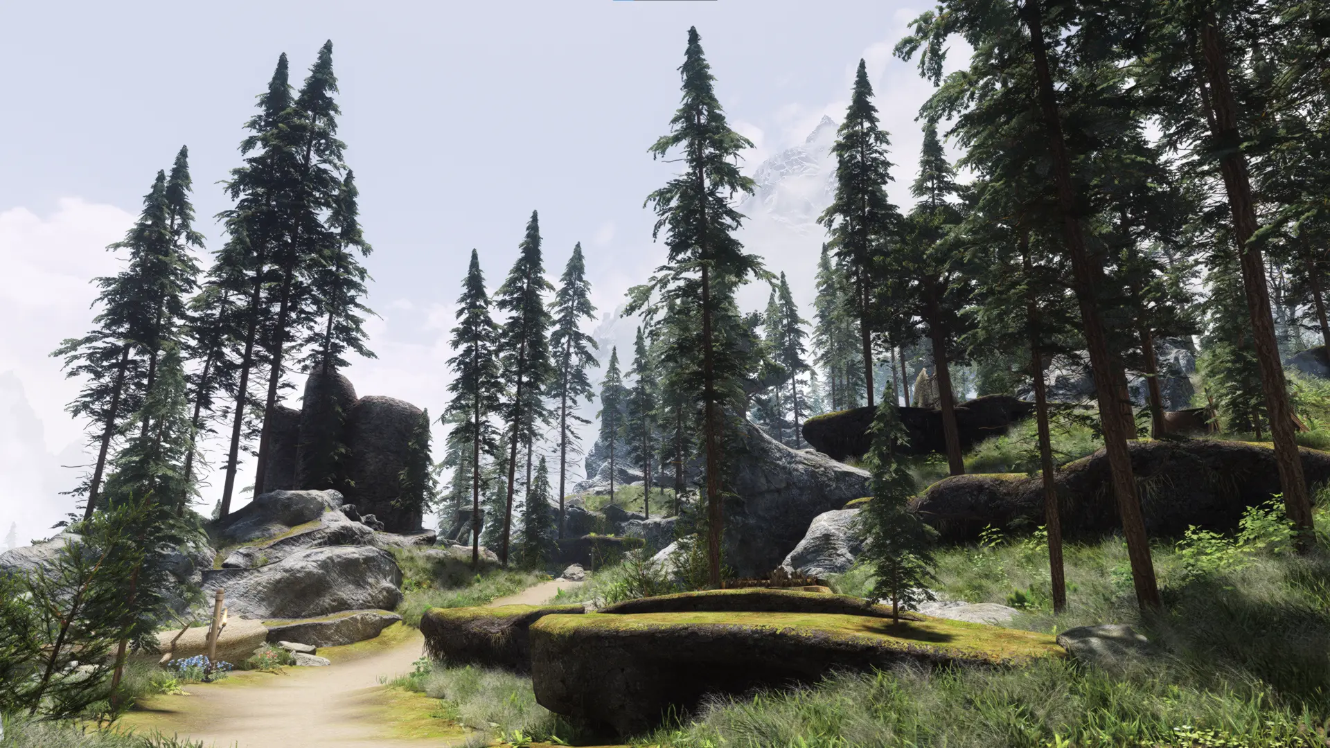 Arboreal Ascension - Enhanced Pine Trees of Skyrim at Skyrim Special ...