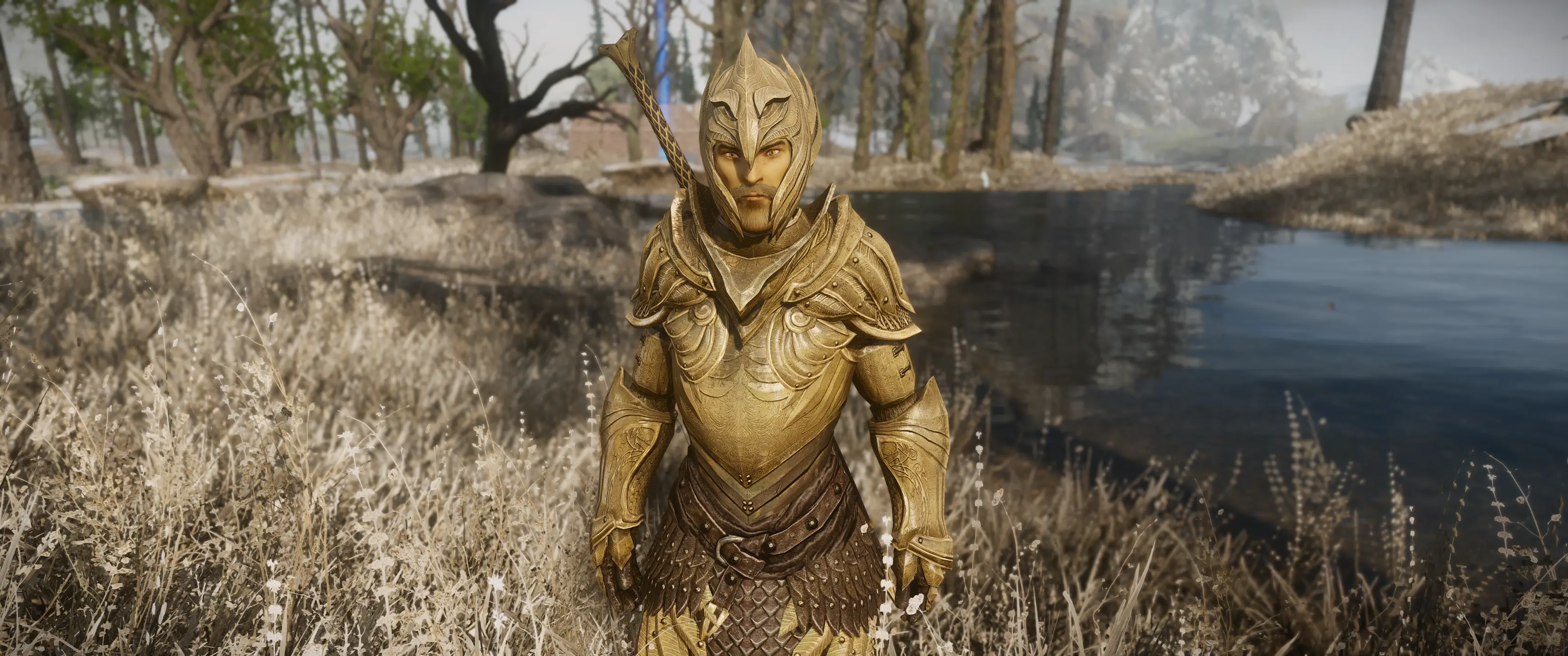 Elven Armors and Weapons - Environment Map Edit at Skyrim Special ...