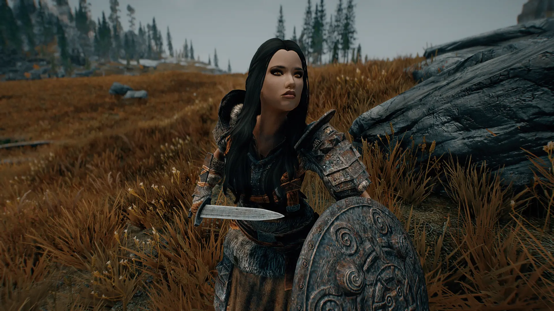 Alexs Lydia Housecarl Of Whiterun At Skyrim Special Edition Nexus Mods And Community
