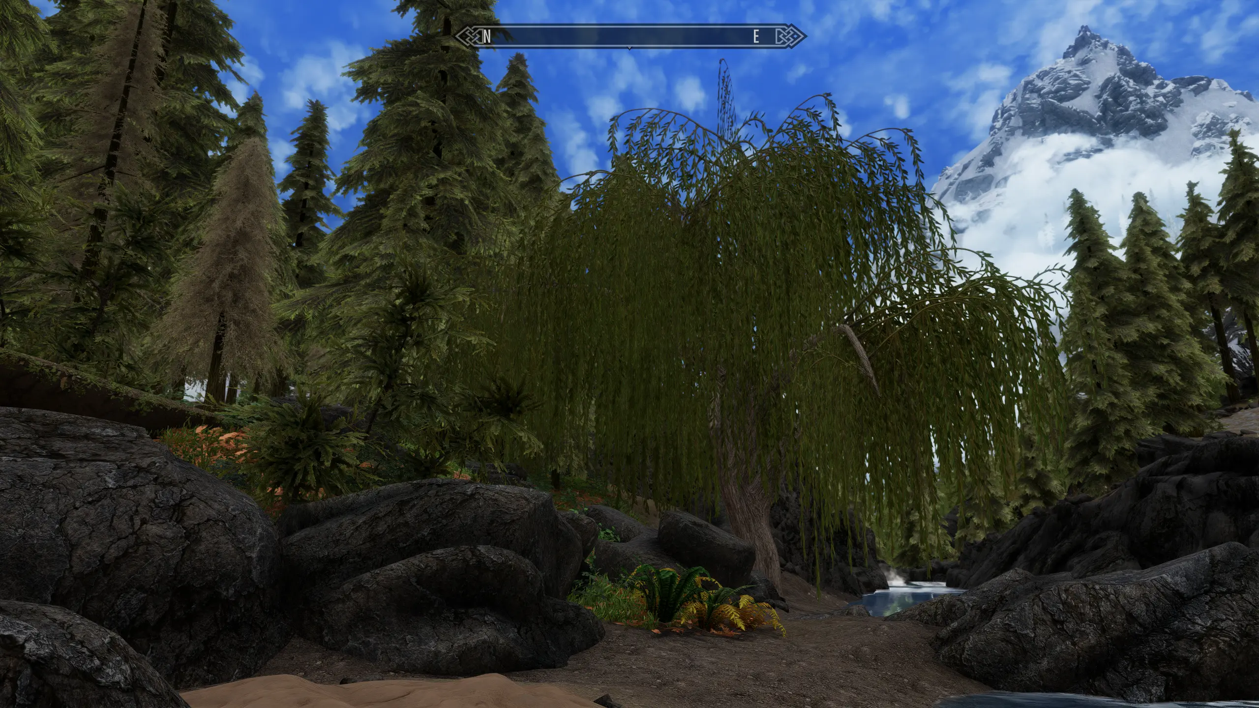 Willows - Improved textures and 3D LODs at Skyrim Special Edition Nexus ...