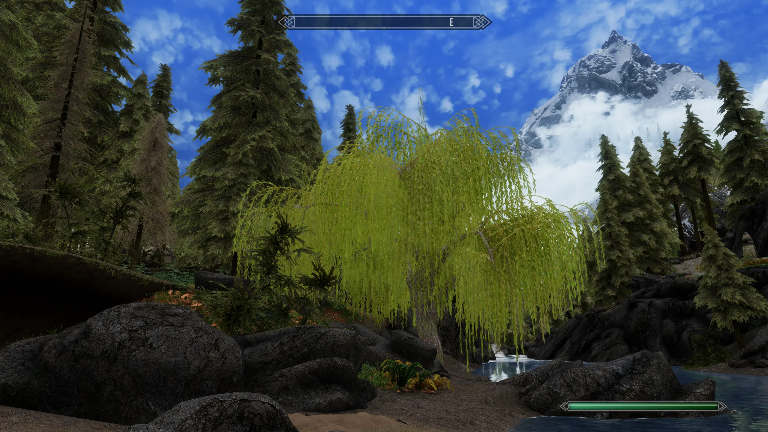 Willows - Improved textures and 3D LODs at Skyrim Special Edition Nexus ...