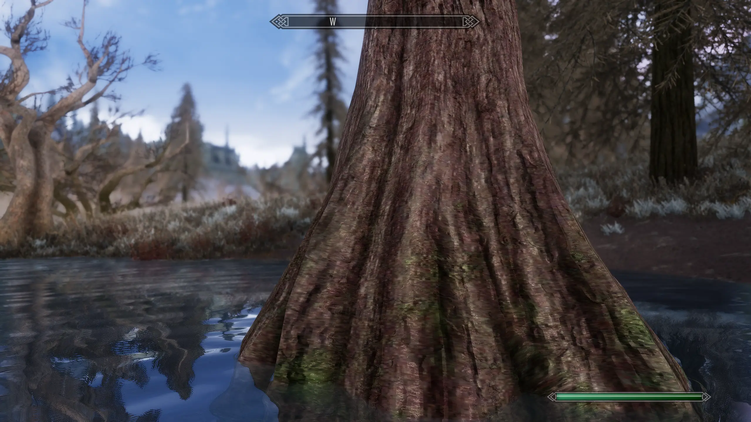 Cypresses - Improved textures and 3D LODs at Skyrim Special Edition ...