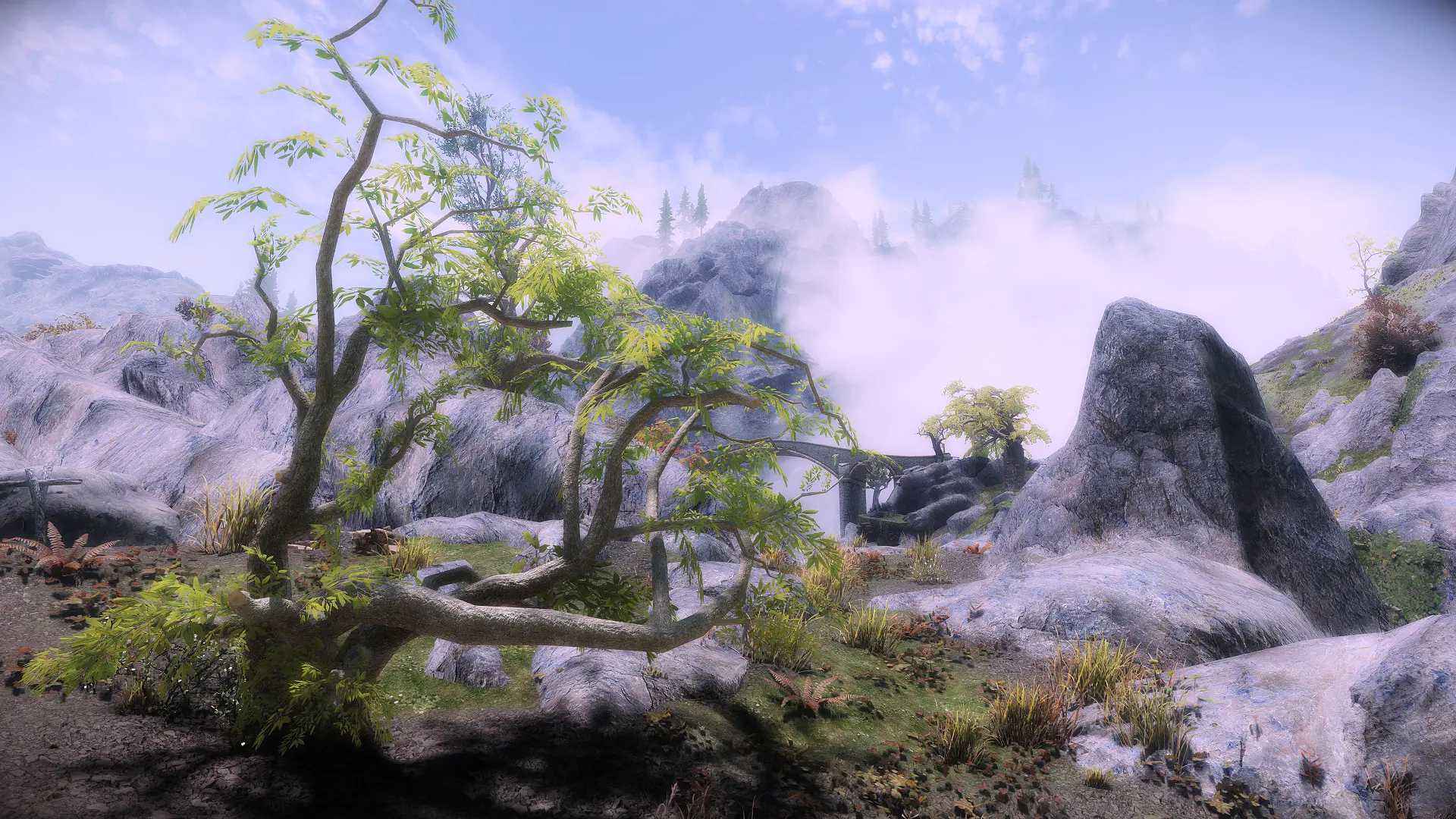 Blubbo Trees Variations at Skyrim Special Edition Nexus - Mods and ...