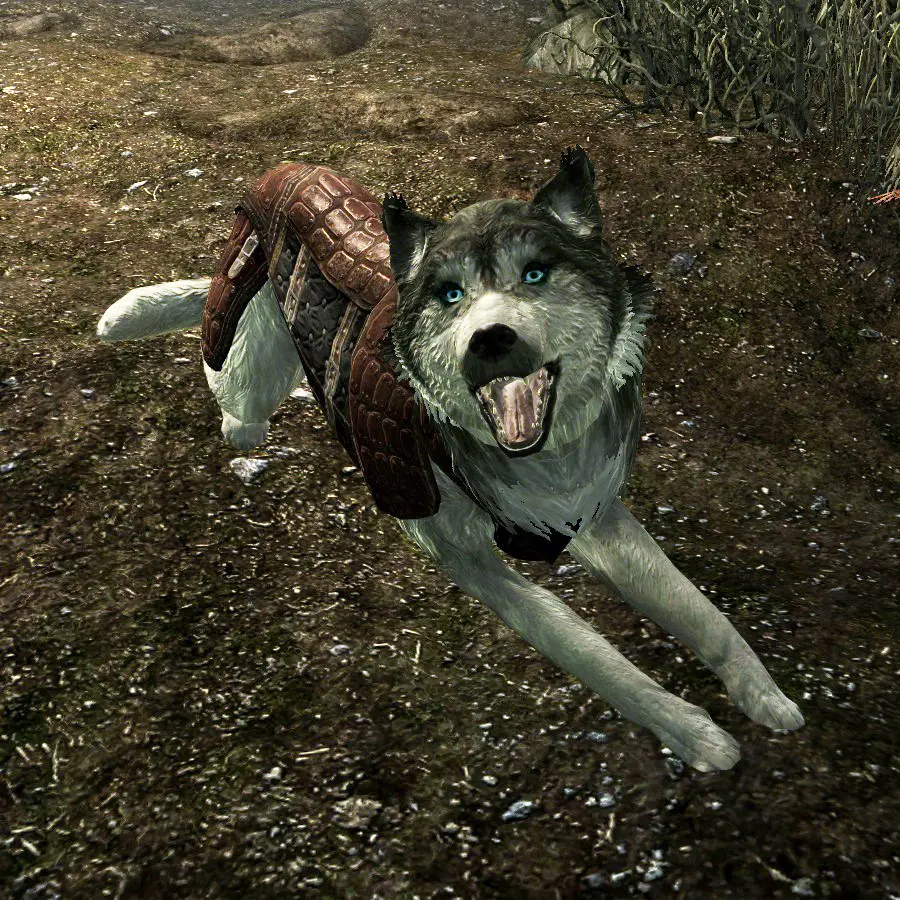 Kaidan 2 - Dog Follower Patches at Skyrim Special Edition Nexus - Mods ...