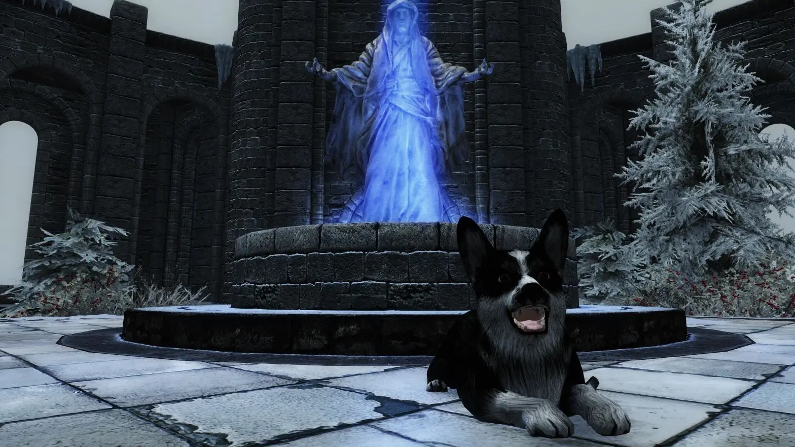 Kaidan 2 - Dog Follower Patches at Skyrim Special Edition Nexus - Mods ...