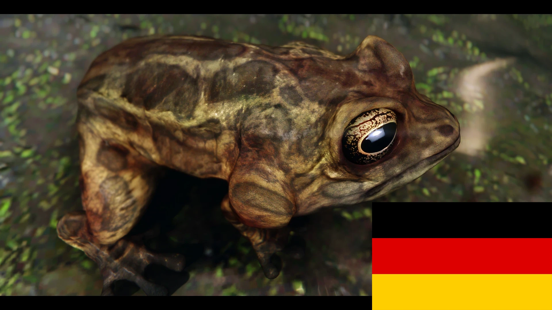 Frogs- Mihail Monsters and Animals (SE-AE version) German at Skyrim ...