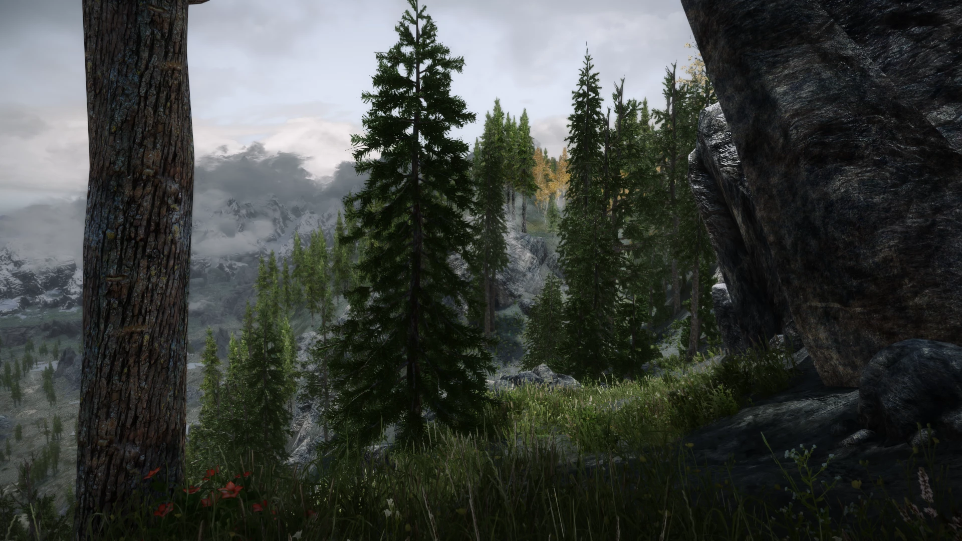 Skyrim 3d trees and plants at skyrim special edition nexus mods and