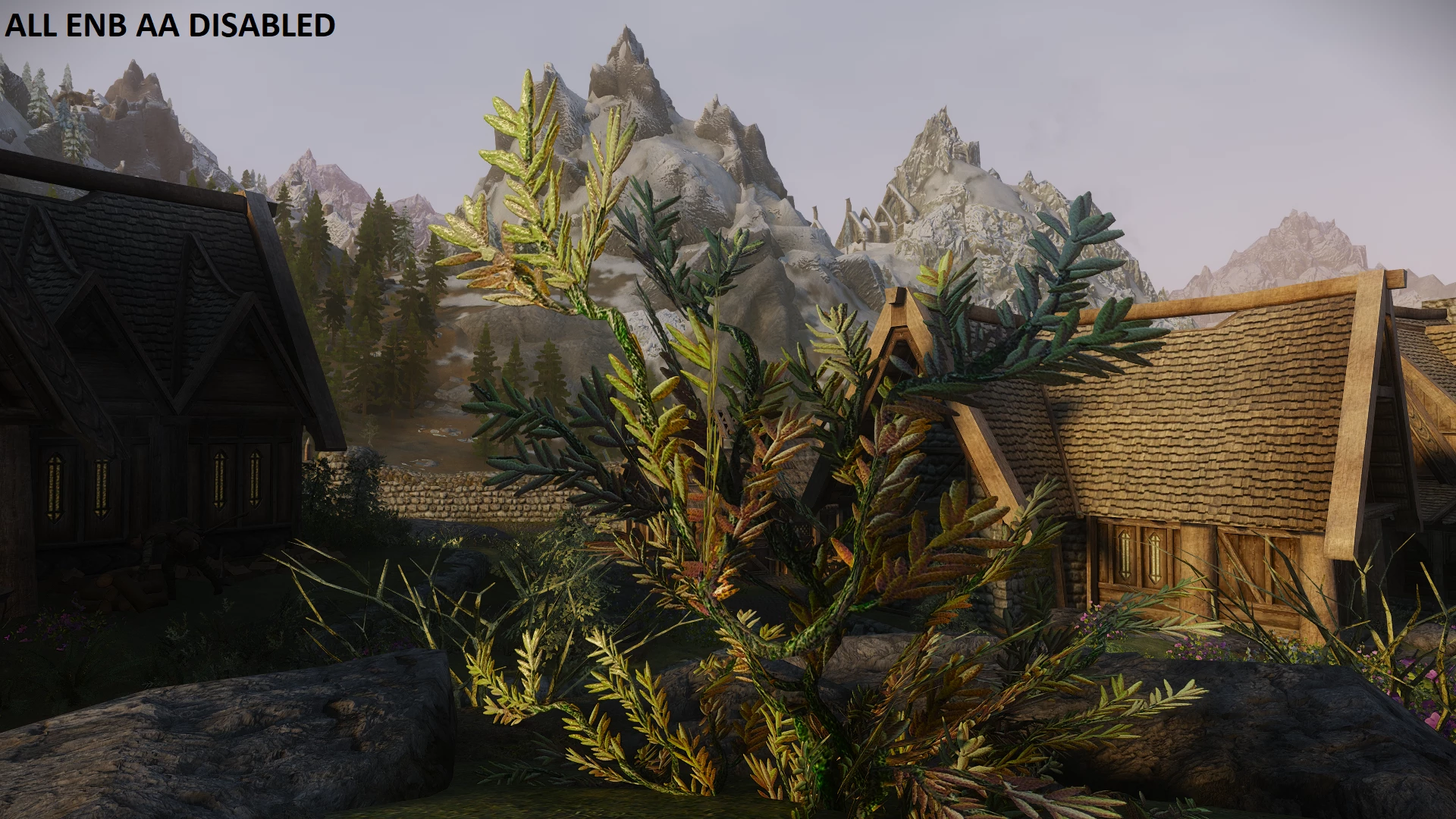 Skyrim Mod Adds NVIDIA DLAAAMD FSR with ENB Compatibility