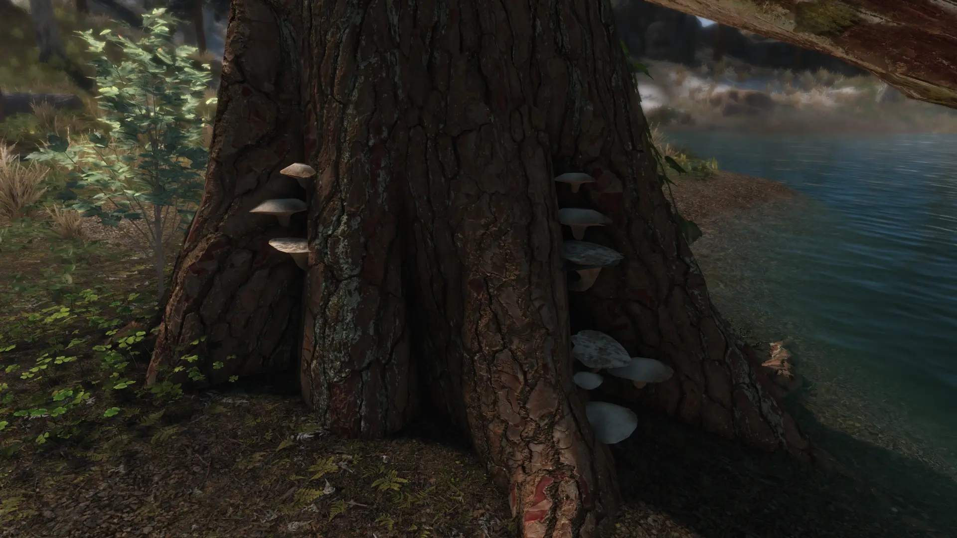 Mora Tapinella 4k at Skyrim Special Edition Nexus Mods and Community