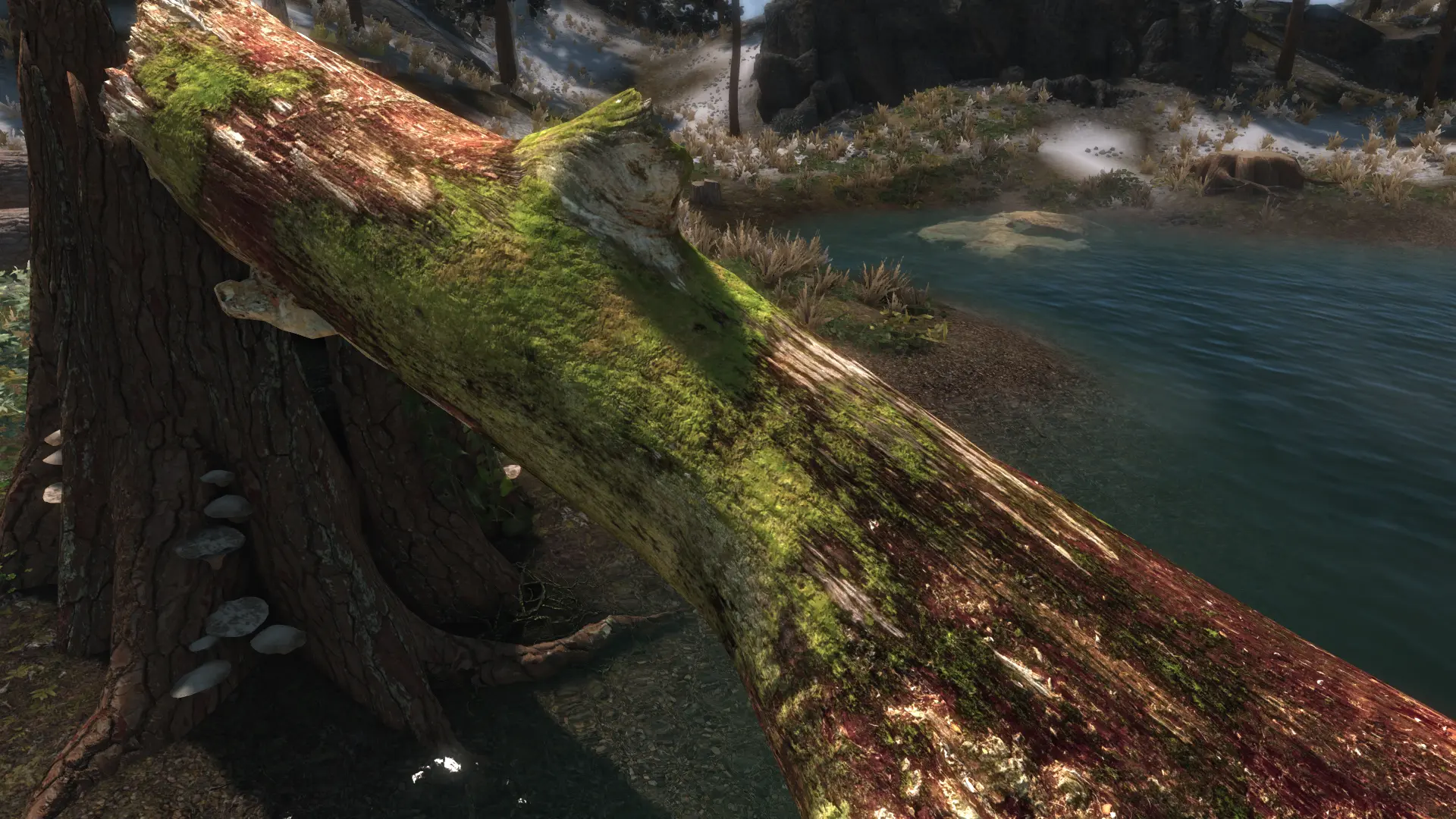 Mora Tapinella 4k at Skyrim Special Edition Nexus Mods and Community