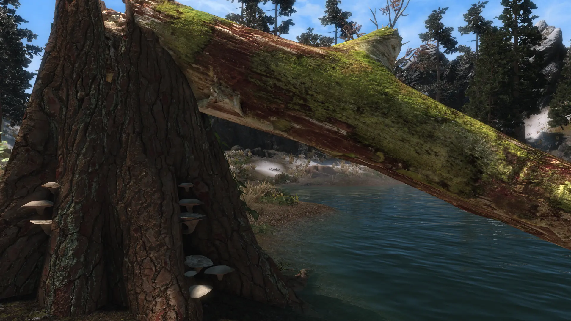 Mora Tapinella 4k at Skyrim Special Edition Nexus Mods and Community