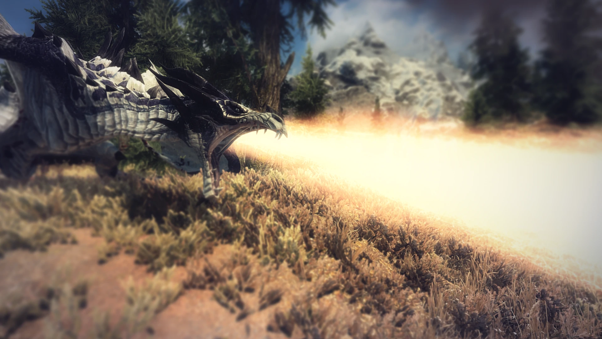 skyrim phoenix flavour skyrim phoenix flavour