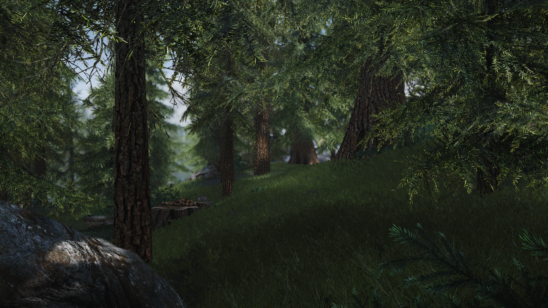 Tree Bark in High Definition at Skyrim Special Edition Nexus - Mods and ...