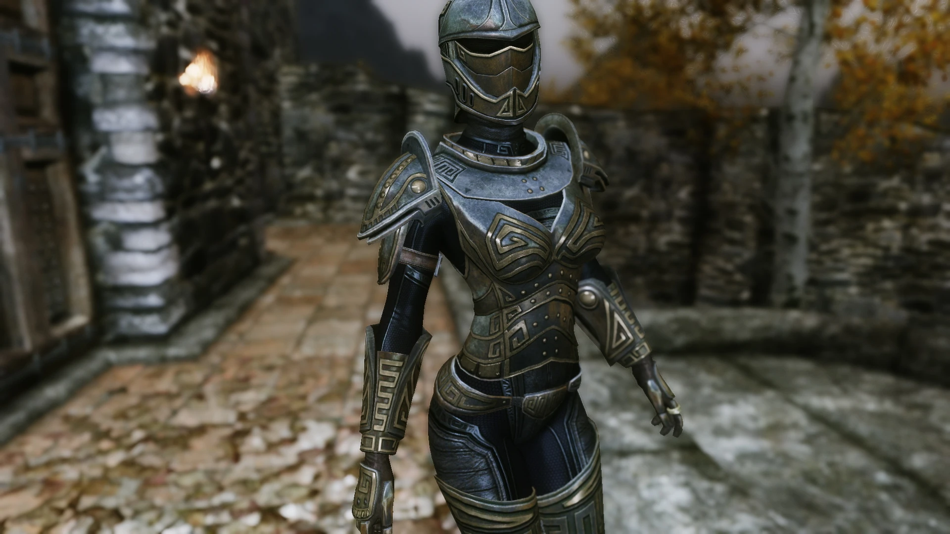 skyrim assassin armor mod female