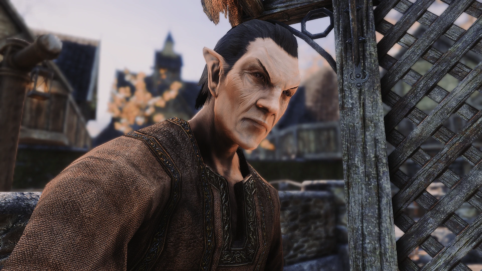 skyrim special edition character overhaul