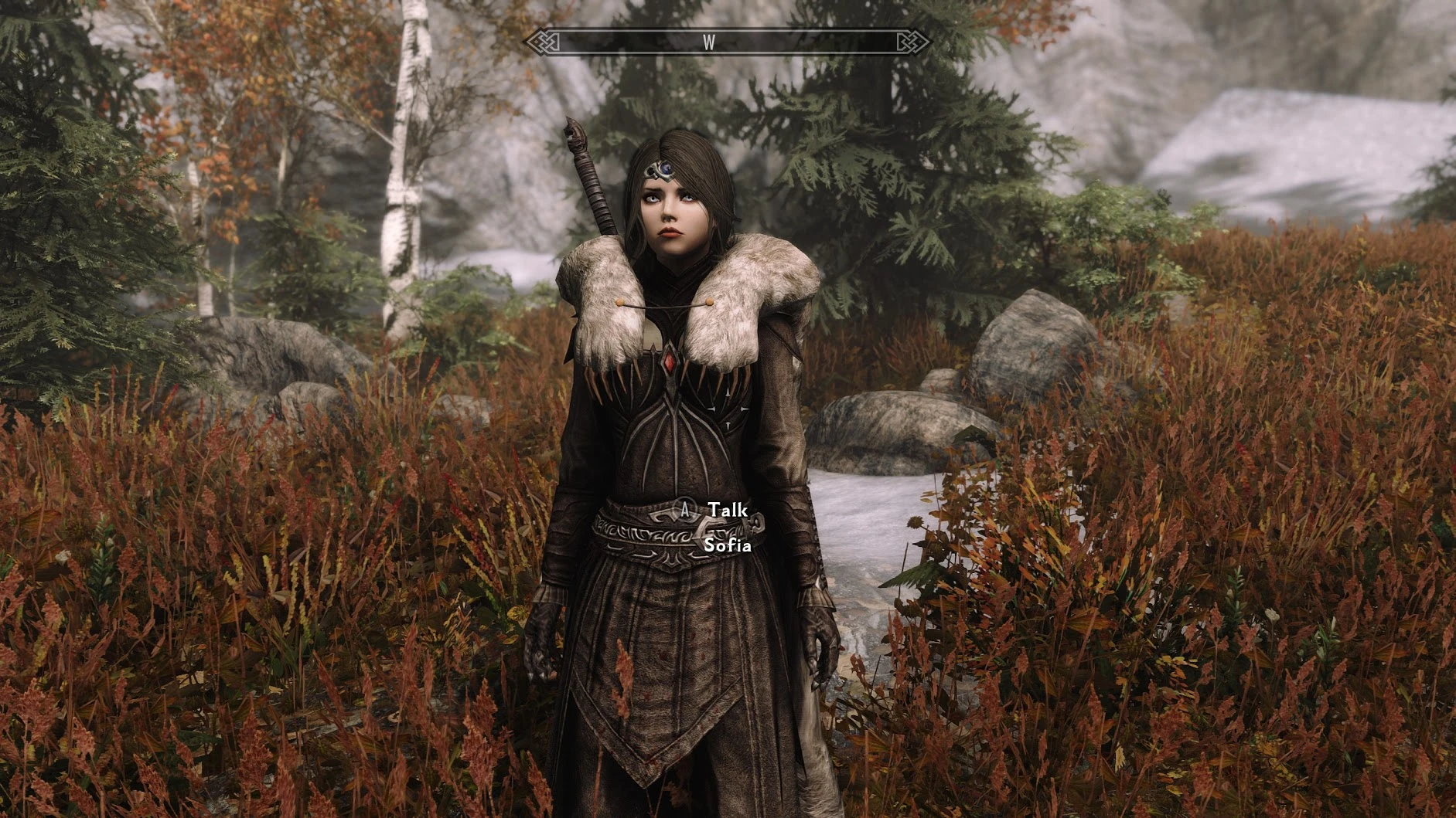 Sofia - The Funny Fully Voiced Follower at Skyrim Special 