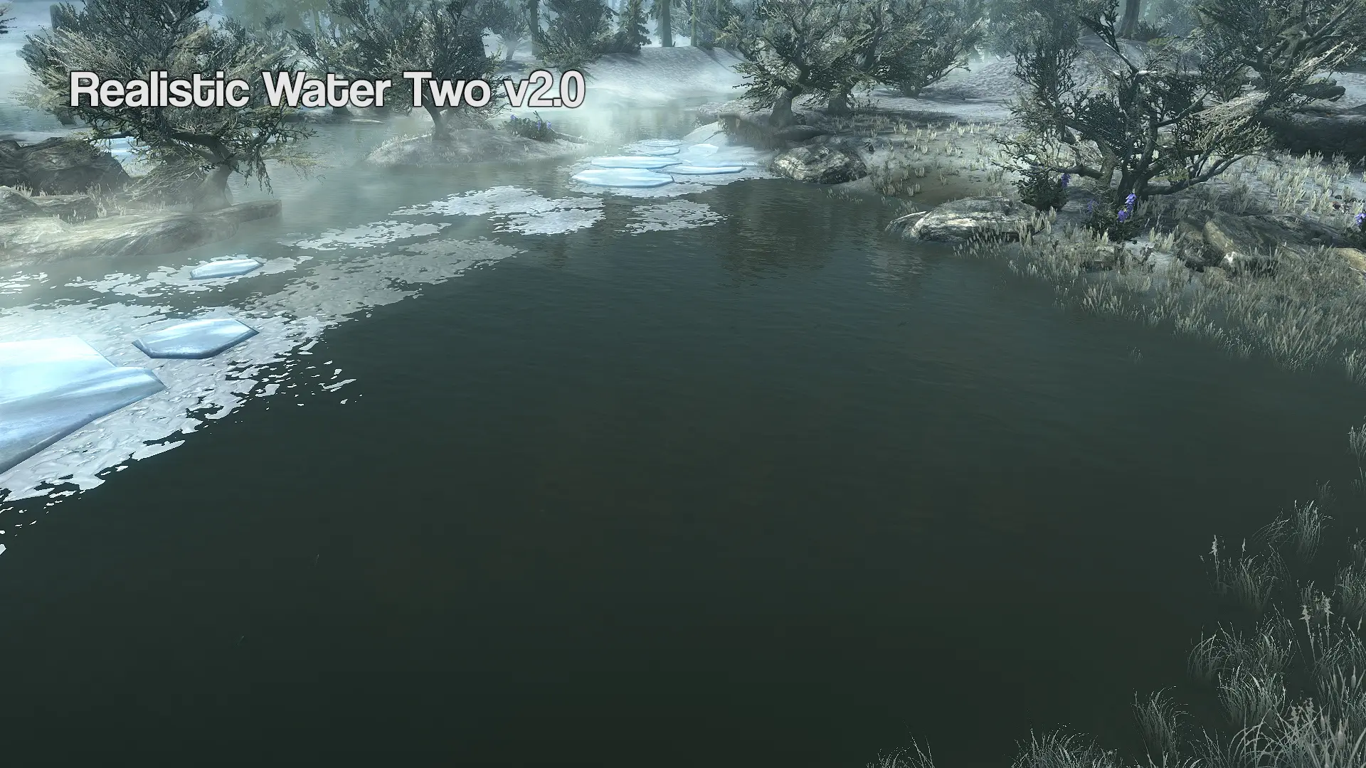 Two waters. Скайрим мод realistic Water two. Реалистичная вода. Мод на реалистичную воду. Skyrim мод на воду.