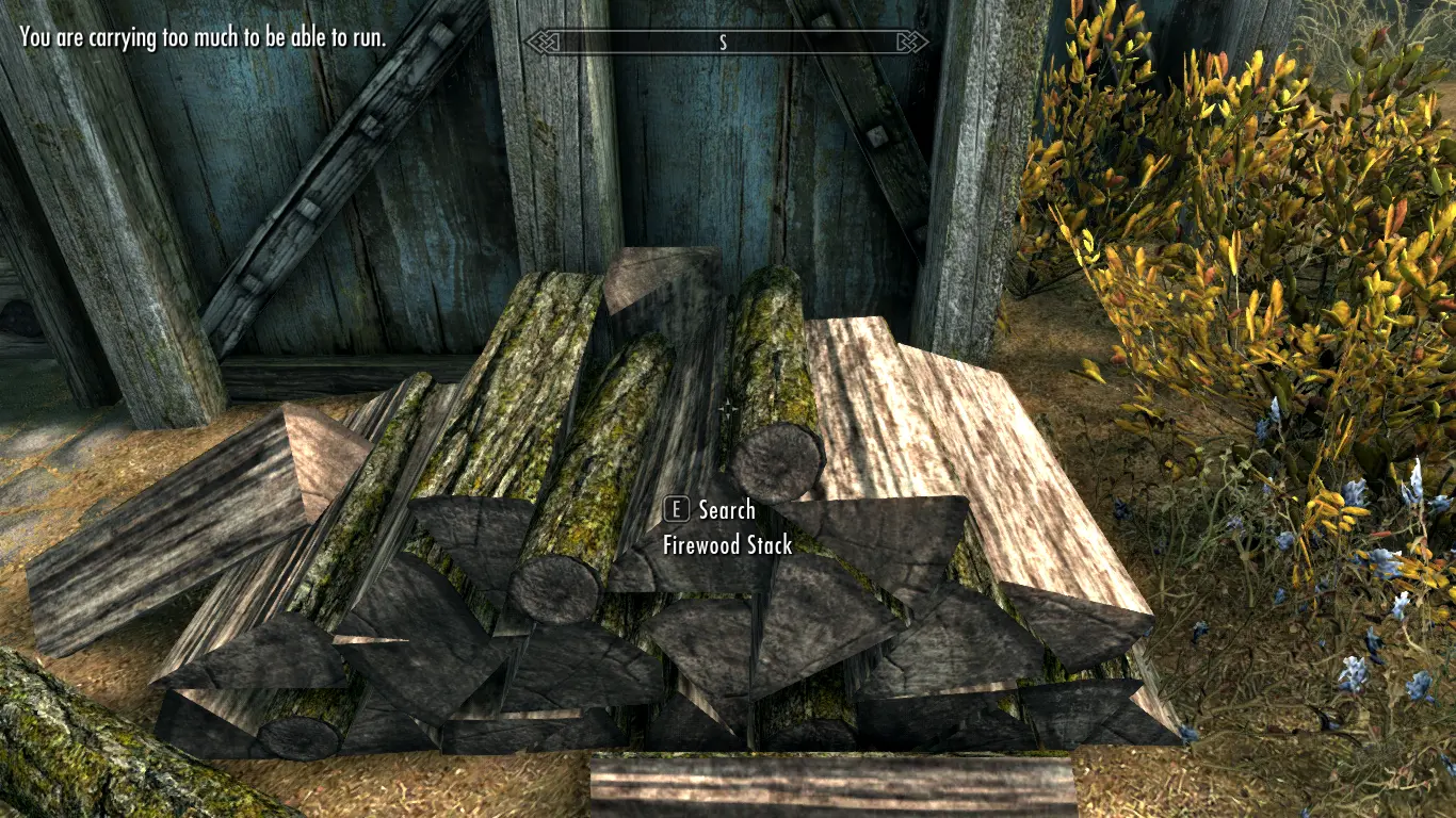 Dynamic Firewood Stacks at Skyrim Special Edition Nexus - Mods and ...