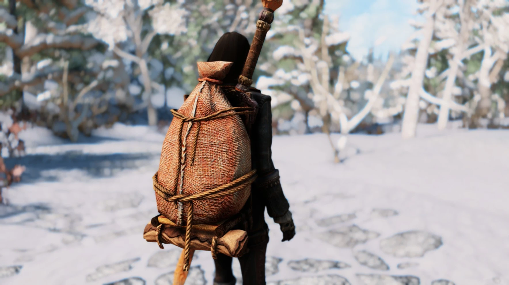 Wood Frame Backpacks SSE at Skyrim Special Edition Nexus - Mods and. 