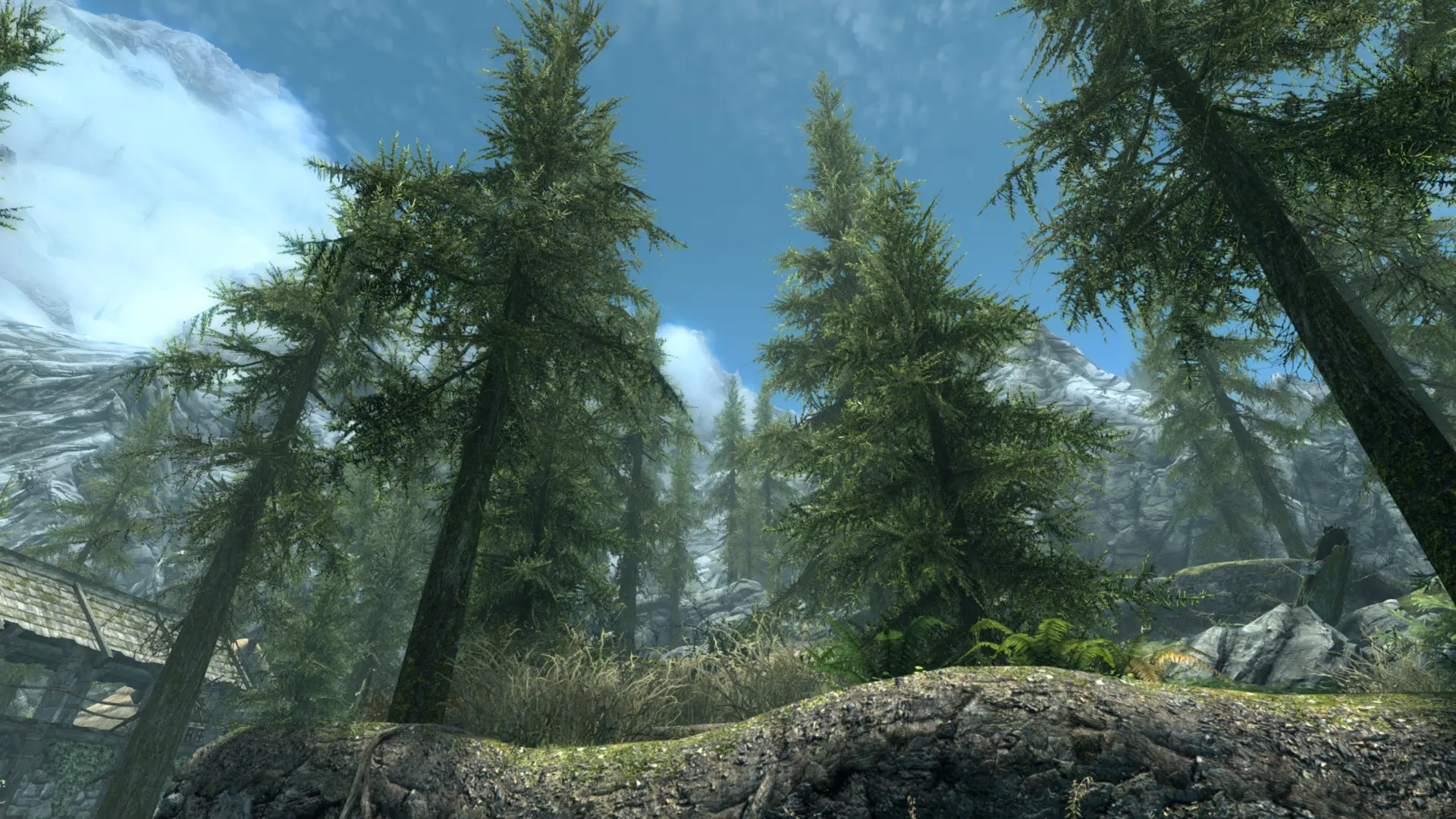 ARTO - Another Riverwood Tree Overhaul at Skyrim Special Edition Nexus ...