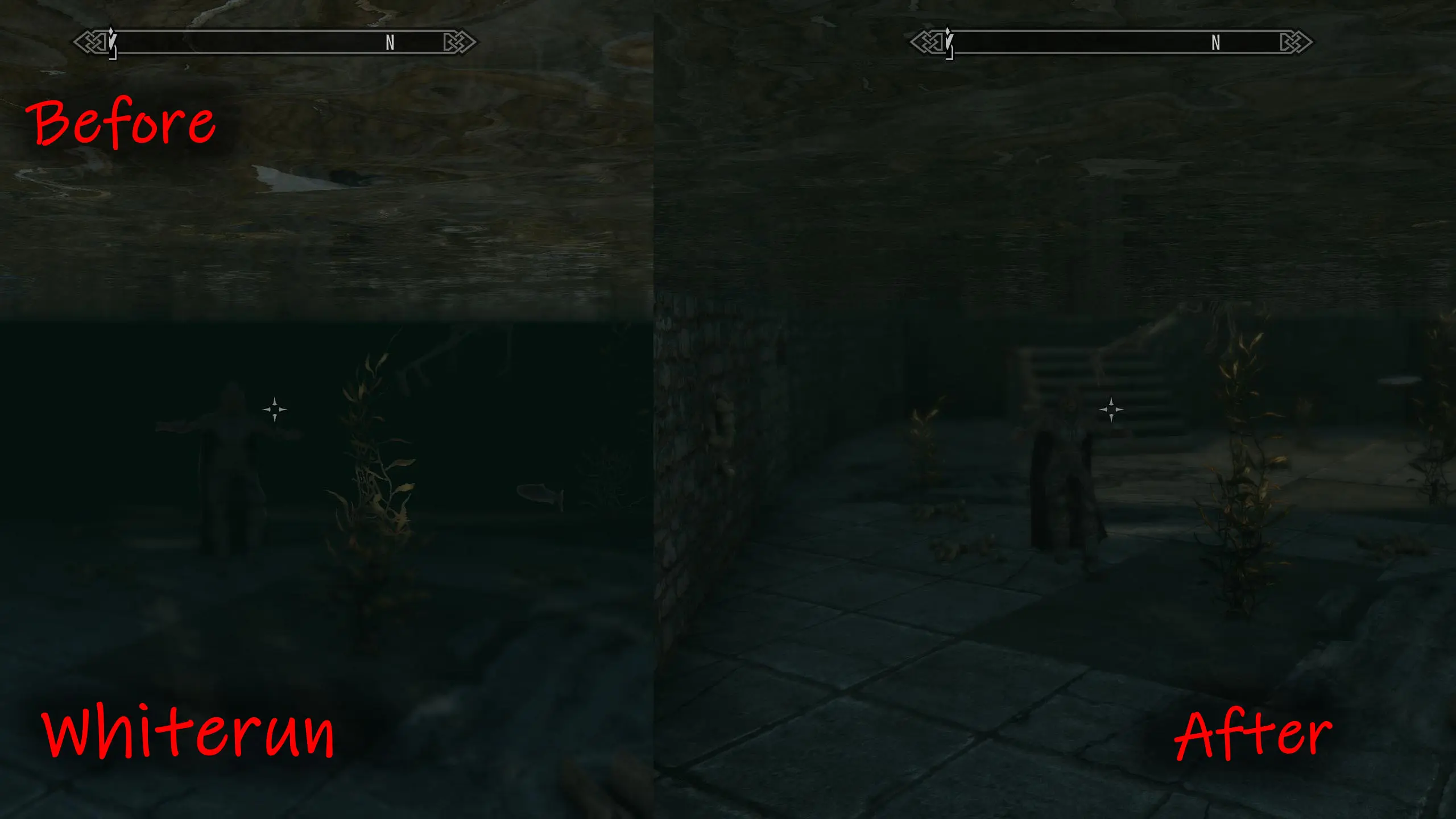 Skyrim cant see underwater